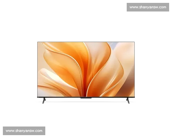 全面汇聚最新足球官网入口信息与权威赛事动态解析指南 全面汇聚最新足球官网入口信息与权威赛事动态解析指南